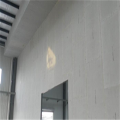 销售新型建筑材料掺多种工业废渣的ALC|ACC|FPS模块板材轻质隔墙板